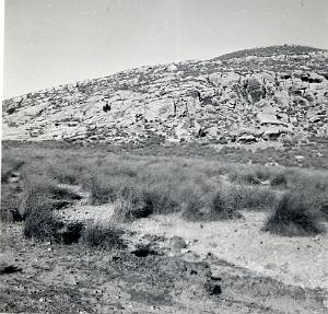 CRAMPEL 1959  (5)